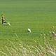 4e7f36a8443bd.jpg