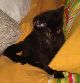 Dsc01586.jpg