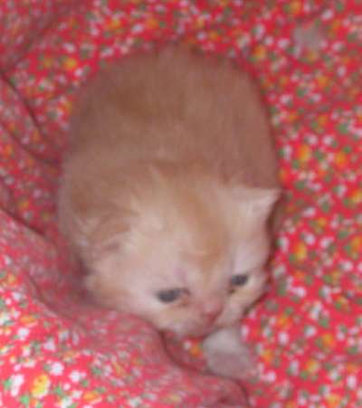 Squekie_3Wochen.jpg