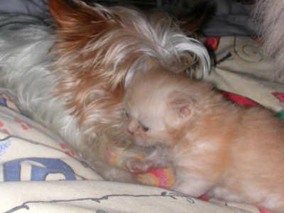 Squekie_mit_Angie_im_Bett.jpg