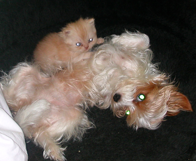 Squeky_und_Annie.jpg