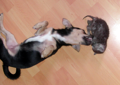 lissy_und_mo_spielen02_1.jpg
