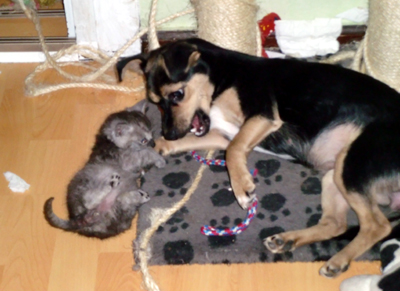 mo_und_lissy_spielen.jpg