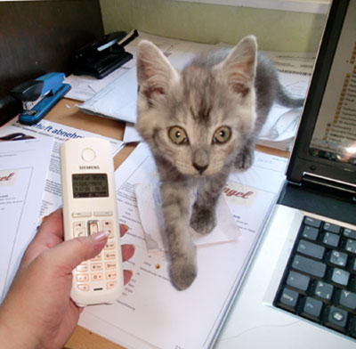 moses_telefonmann.jpg