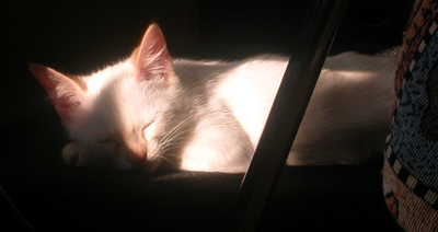 abendstimmung01.jpg