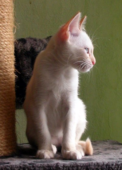 philo_portrait.jpg