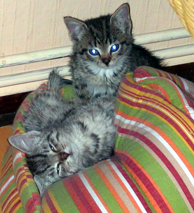 Eduard_und_Lola.jpg