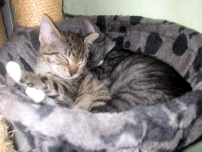 eddy_und_theo_1.jpg