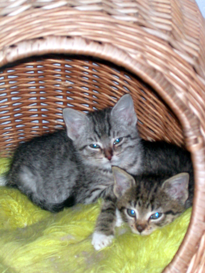 eduard_und_lola.jpg