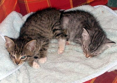 eduard_und_lola_1.jpg