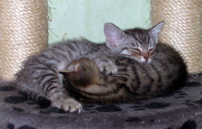 edward_und_lola.jpg