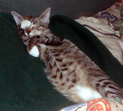lola_allein_01.jpg