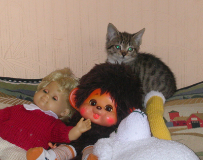lola_stilleben.jpg