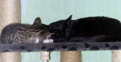 lola_und_bambi.jpg
