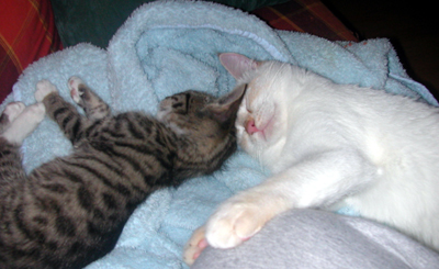 lola_und_philo.jpg