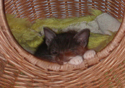 theo_ordentlich01.jpg