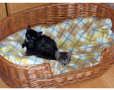 theo_und_lola.jpg