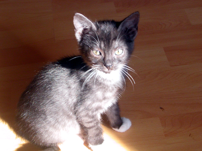 theodor02.jpg