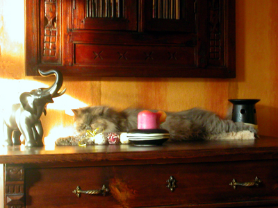 abendstimmung02.jpg