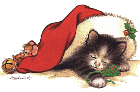 katze_island_01.gif