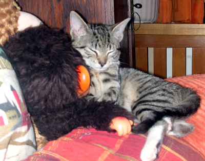 lola_und_monchi01.jpg