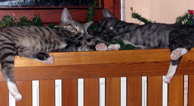 lola_und_theo.jpg
